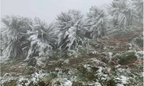 Dự báo thời tiết 4/2: Miền Bắc đón không khí lạnh dồn dập, trời rét đậm, sương mù bao phủ