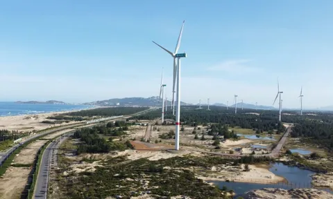 Công ty năng lượng của Vingroup đủ điều kiện thực hiện dự án điện gió hơn 48.000 tỷ đồng