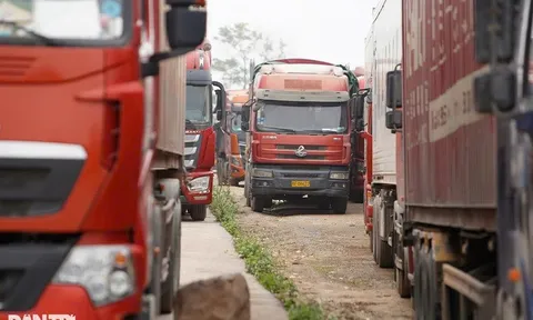 Hải quan đẩy nhanh thông quan thực phẩm sau khi tạm dừng Nghị định 46