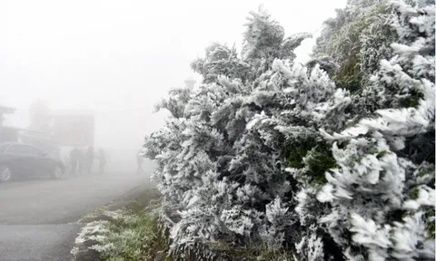 Miền Bắc sắp đón đợt rét buốt nhất, nguy cơ xảy ra băng giá và sương muối