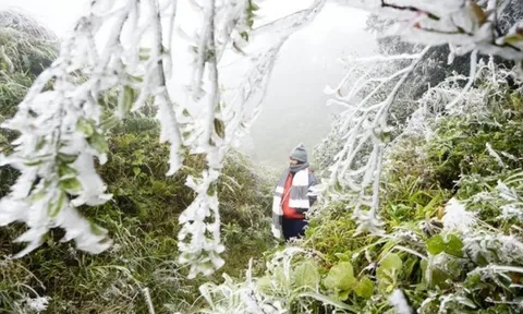Dự báo thời tiết 5/2: Miền Bắc đón đợt không khí lạnh cực mạnh, dự báo khi nào rét đậm đạt đỉnh?