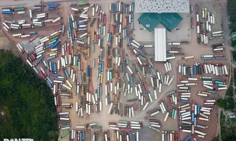 Doanh nghiệp "thoát hiểm" nhờ Nghị quyết 09, đề xuất sửa gấp Nghị định 46