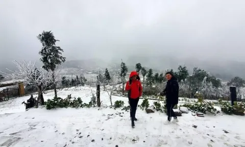 Dự báo thời tiết 8/2: Đợt không khí lạnh cường độ mạnh bao phủ miền Bắc, trời chuyển mưa và rét buốt