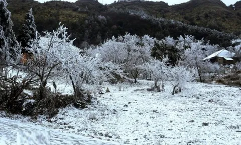 Không khí lạnh cường độ cực mạnh tràn về, miền Bắc "rét buốt thấu xương"
