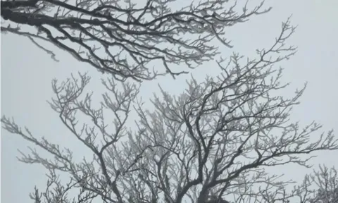 Dự báo thời tiết 9/2: Miền Bắc dồn dập đón đợt không khí lạnh mạnh, dự báo nơi rét đậm nhất