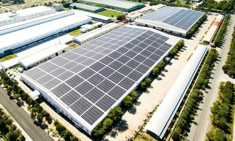 Điều gì đang “níu chân” Bamboo Capital và Tracodi khi liên tiếp hoãn BCTC kiểm toán?