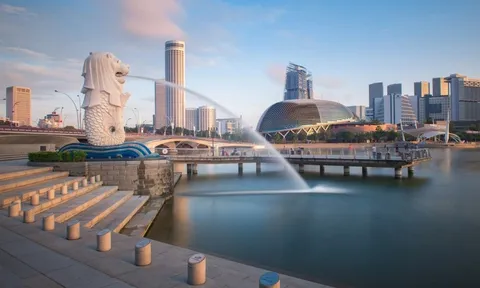 Xe điện Singapore bùng nổ, xưởng sửa chữa ô tô truyền thống hấp hối