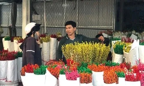 Hoa Tết ế ẩm, tiểu thương lướt điện thoại chờ khách, chủ vườn lan lo sốt vó