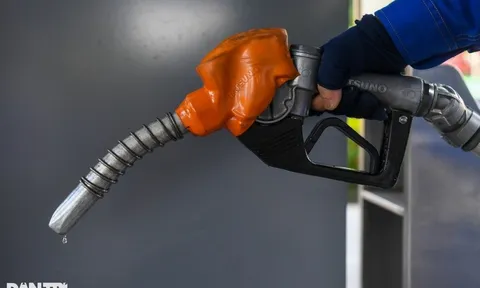 Giá xăng ngày mai 12/2: Dự báo tăng lần thứ 3 liên tiếp, dầu đi ngang