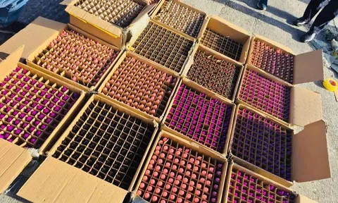 Thu giữ hơn 65.000 thiết bị thuốc lá điện tử quá cảnh, trị giá 9 tỷ đồng