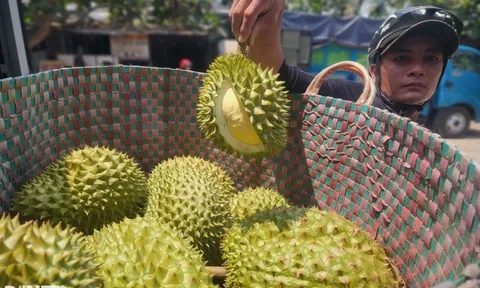 Trung Quốc yêu cầu mới về nhập khẩu 2.589 nông sản, doanh nghiệp Việt chú ý