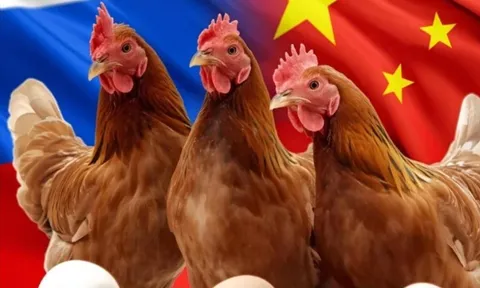 Chứng kiến hiện tượng chưa từng có với Trung Quốc, Nga đưa ra cảnh báo