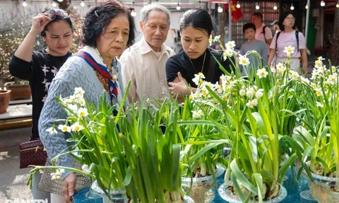 Bộ Tài chính: Không ghi nhận hiện tượng “sốt giá” hoa tươi