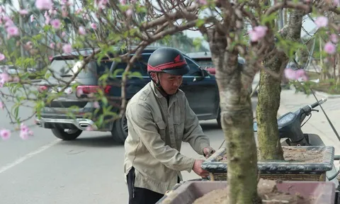 Lao động kiếm tiền triệu bằng nghề “chở Tết về nhà”