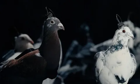 Tất cả đều xôn xao bàn luận công nghệ mới của Nga: Kẻ tin người ngờ nhưng phải công nhận là "giỏi nhưng sợ"