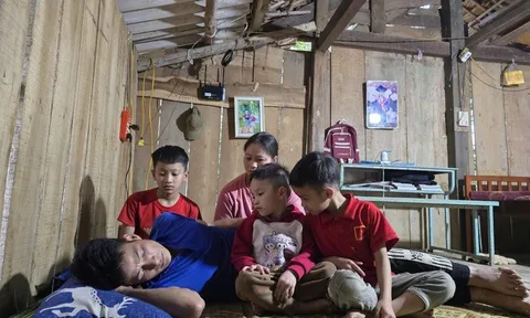 Mã số 5869: “Tết này, em ước có tiền mua thuốc cho chồng, các con có manh áo mới”