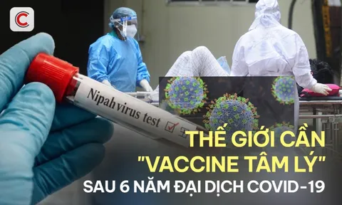 Nipah và câu hỏi chưa có lời đáp sau 6 năm đại dịch Covid-19: Nhân loại đã trưởng thành hơn sau đại dịch, hay chỉ cảnh giác hơn?