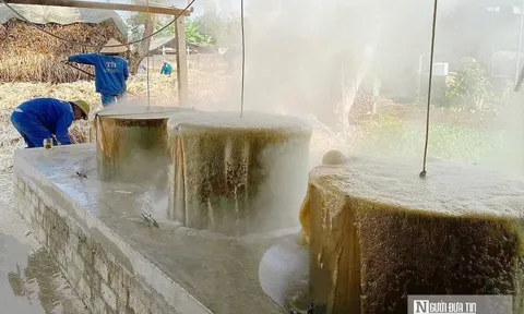 Hương vị Tết ngọt ngào ở làng nghề truyền thống hơn 60 năm tuổi