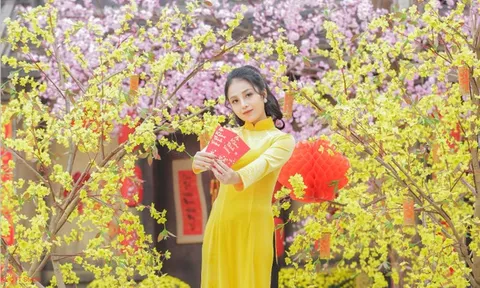 Dự báo thời tiết 19/2 (mồng 3 Tết Bính Ngọ): Miền Bắc sắp đón thêm đợt không khí lạnh tăng cường mới, trời mưa rét