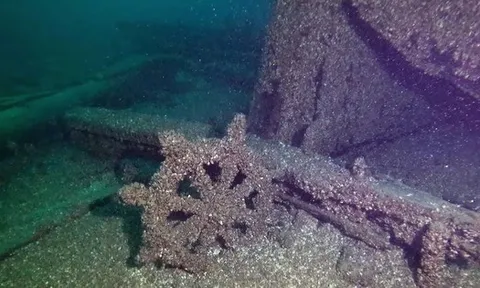 Lòng hồ đầy "tàu ma" ở Mỹ