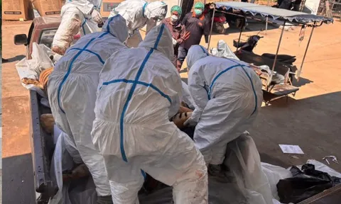 72 con hổ chết vì dịch bệnh tại Thái Lan, 108 người từng tiếp xúc đang được theo dõi sức khỏe