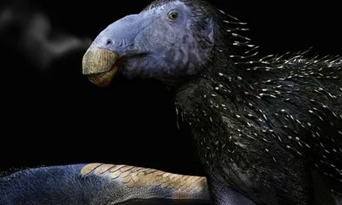 Trung Quốc phát hiện “rồng gai” chưa từng thấy trên thế giới