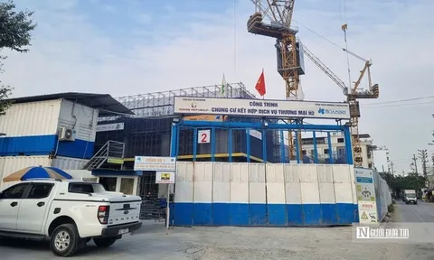 Đơn vị "ôm" loạt dự án "đất vàng" trong hệ sinh thái Tập đoàn Hoàng Huy làm ăn ra sao?