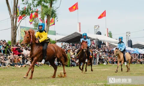 Nông dân Đắk Lắk hoá “kỵ sĩ”, ngựa thồ thành chiến mã tại lễ đua Gò Thì Thùng