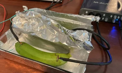 Giới sành âm thanh ngã ngửa vì không thể phân biệt được cáp đắt tiền và một quả chuối xanh