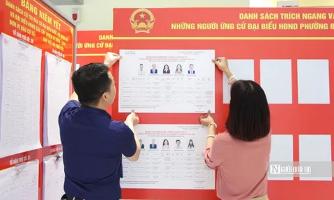 Hỗ trợ tối đa nhân sự do Trung ương giới thiệu về ứng cử ĐBQH ở địa phương