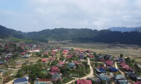 Đẹp như mơ giữa “rừng Amazone xứ Thanh”, giấc mơ du lịch bản Vịn vẫn dang dở