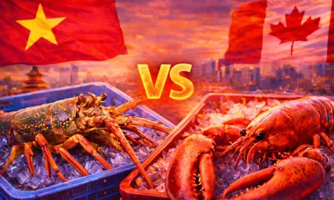 Thị trường ‘tỷ đô’ của Trung Quốc đảo chiều: Trong lúc Canada chờ giảm thuế, Việt Nam đã soán ngôi số 1