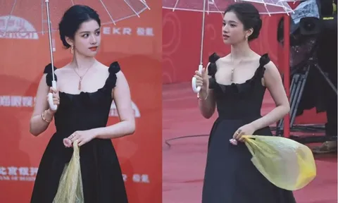 "Chiếc túi nilon hơn 46 triệu đồng" của nữ diễn viên Trương Tịnh Nghi gây tranh cãi