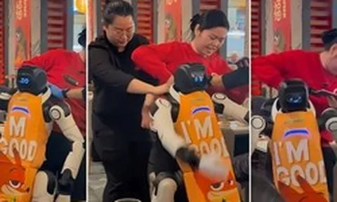 Robot tại nhà hàng lẩu Haidilao bất ngờ đập phá bát đĩa, phải chăng là stress quá?