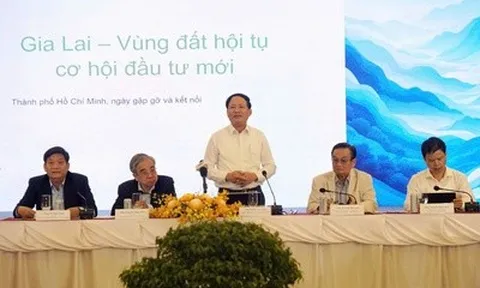 Gia Lai “gửi lời mời” tới doanh nghiệp Tp.HCM: Vào nhanh, làm thật, chậm chân sẽ hết cơ hội