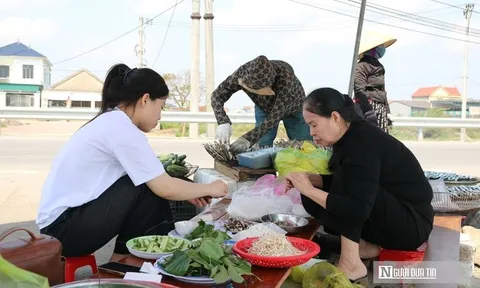 Loài cá "nhà nghèo" hút khách, viral trên mạng xã hội