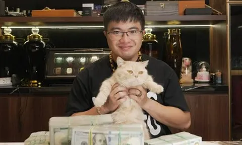 Toàn bộ quá trình xây dựng "đế chế" lừa đảo Mr Pips