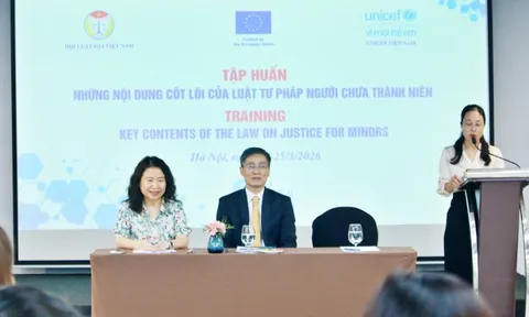 Hội Luật gia Việt Nam thúc đẩy tiếp cận nhân văn của Luật Tư pháp người chưa thành niên