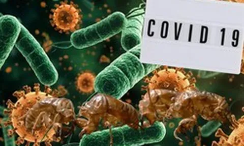 Biến thể COVID “Ve sầu” lây lan tại Mỹ, nguy cơ gây làn sóng dịch mới