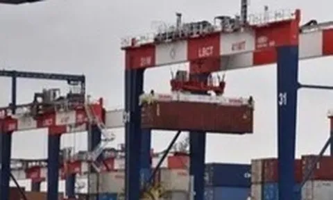 Mỹ áp thuế 100% đối với dược phẩm, điều chỉnh thuế kim loại