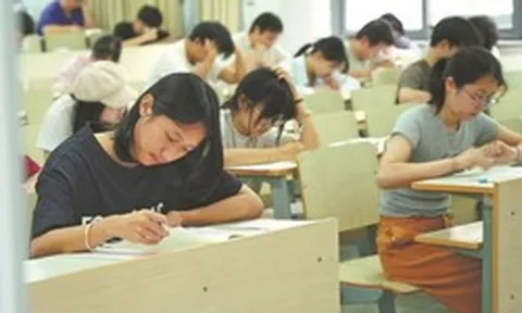 Hơn 100 trường đại học 'khai tử' ngành ngoại ngữ, AI khiến dịch thuật không còn là kỹ năng sống còn