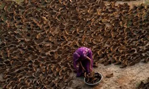 Cảnh tượng chưa từng thấy ở Ấn Độ: Khắp đường phố "xuyên không" về thời đồ đá, người dân phải dùng nguyên liệu thô sơ nhất để nấu ăn