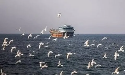 Iran chỉ cho phép tối đa 15 tàu đi qua eo biển Hormuz mỗi ngày