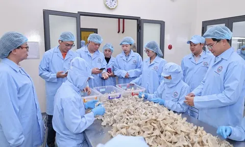 Sanvinest Khánh Hòa: Tăng lợi nhuận nhờ kiểm soát chi phí