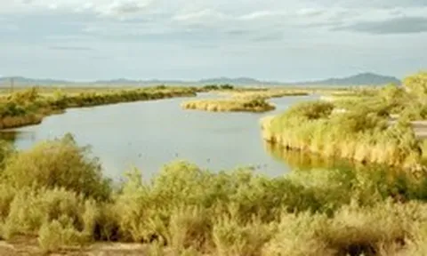 Phát hiện kho báu 'vàng trắng' 500 tỷ USD sâu dưới hồ, đủ dùng trong nhiều thập kỷ: Nguồn năng lượng cả nhân loại khao khát được mở khoá