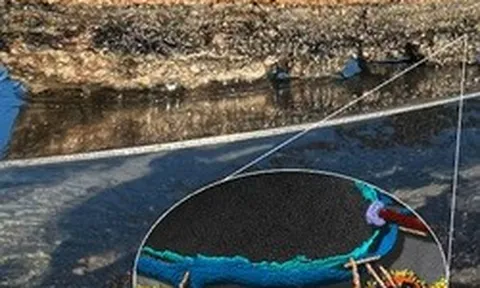 "Tổ tiên vĩ đại” của chúng ta được hé lộ ở vịnh Cá Mập