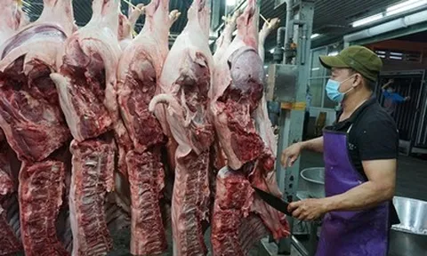 Tp.HCM: Tăng cường kiểm dịch, kiểm soát giết mổ động vật