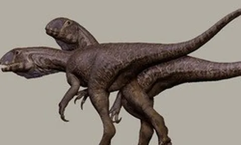 Quái vật 201 triệu tuổi "trỗi dậy" từ mỏ đá ở Mỹ