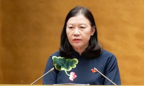 Yêu cầu Bộ NN&MT báo cáo cụ thể về lộ trình giải quyết các nội dung cử tri kiến nghị