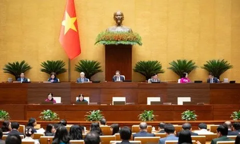 Quốc hội đồng ý thí điểm chế định luật sư công tại 8 bộ, 10 tỉnh, thành phố